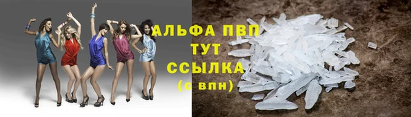 твердый Няндома