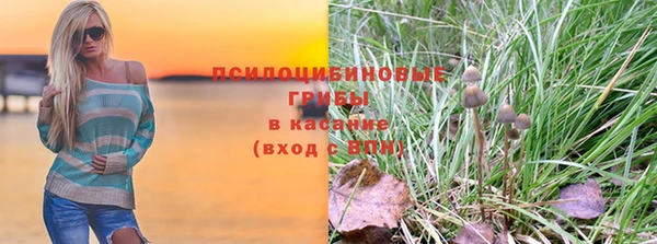 ECSTASY Нязепетровск