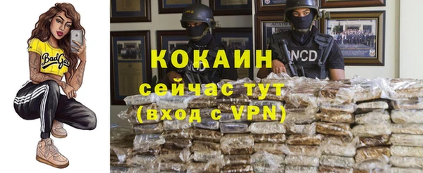 твердый Няндома