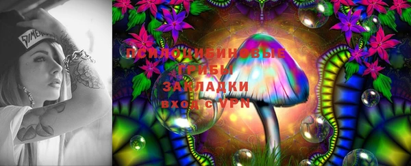 твердый Няндома