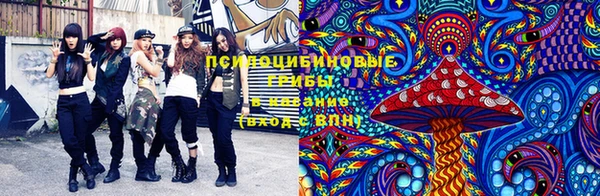 твердый Няндома
