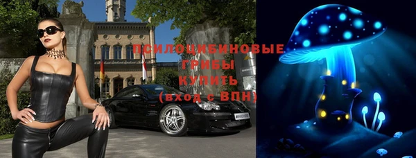 ECSTASY Нязепетровск