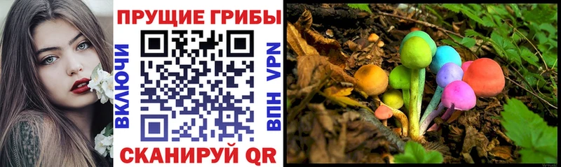 Псилоцибиновые грибы Cubensis  omg зеркало  Сунжа 